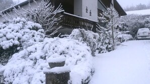 A snow-covered house with a porch, a car parked in the driveway, and snow-laden bushes.