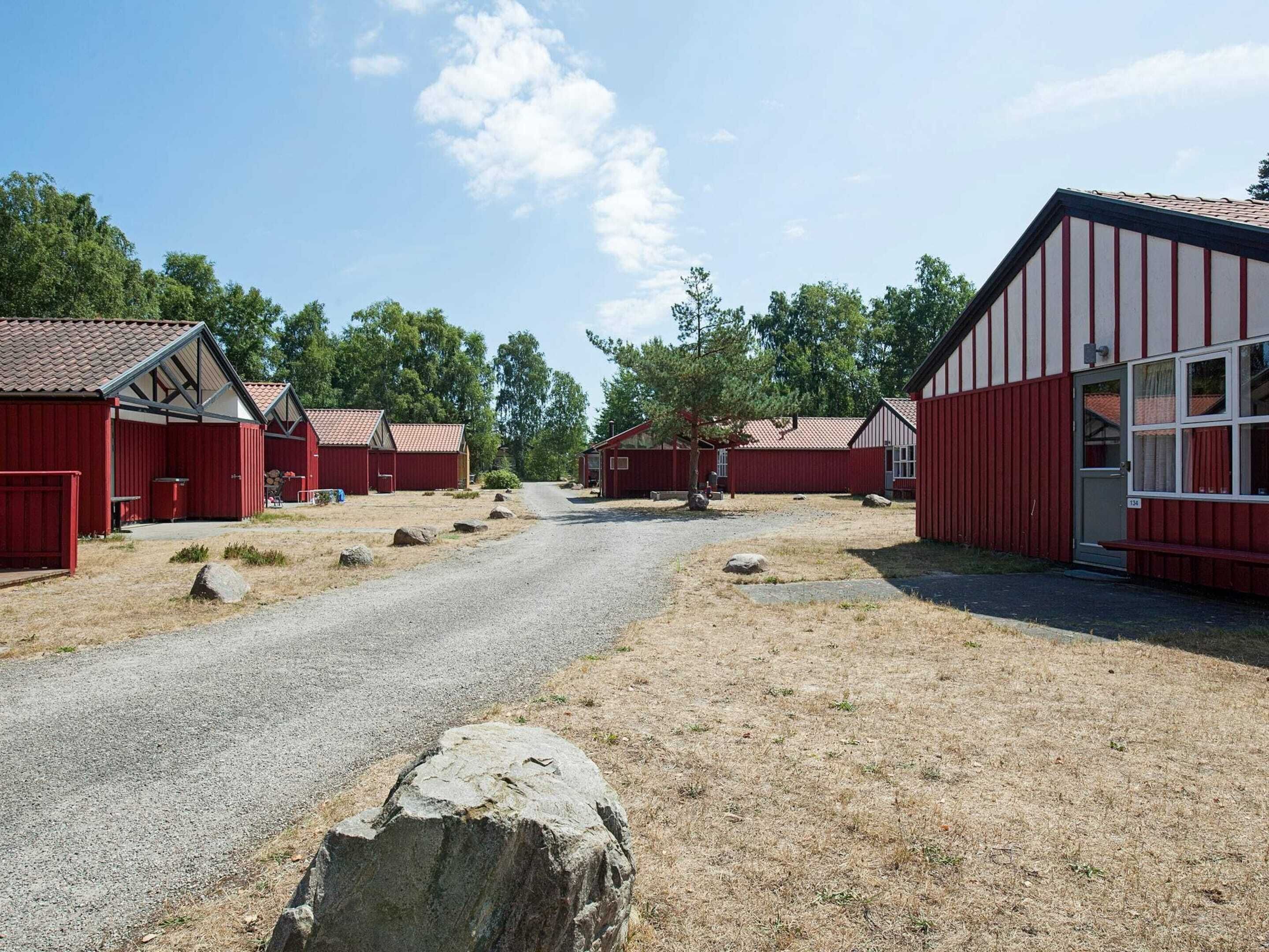 A rural setting with red barns and a gravel road.