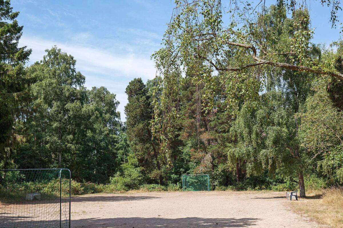 Ein eingezäuntes Sportfeld mit einem Fußballtor, umgeben von dichter Baumgruppe und blauem Himmel.