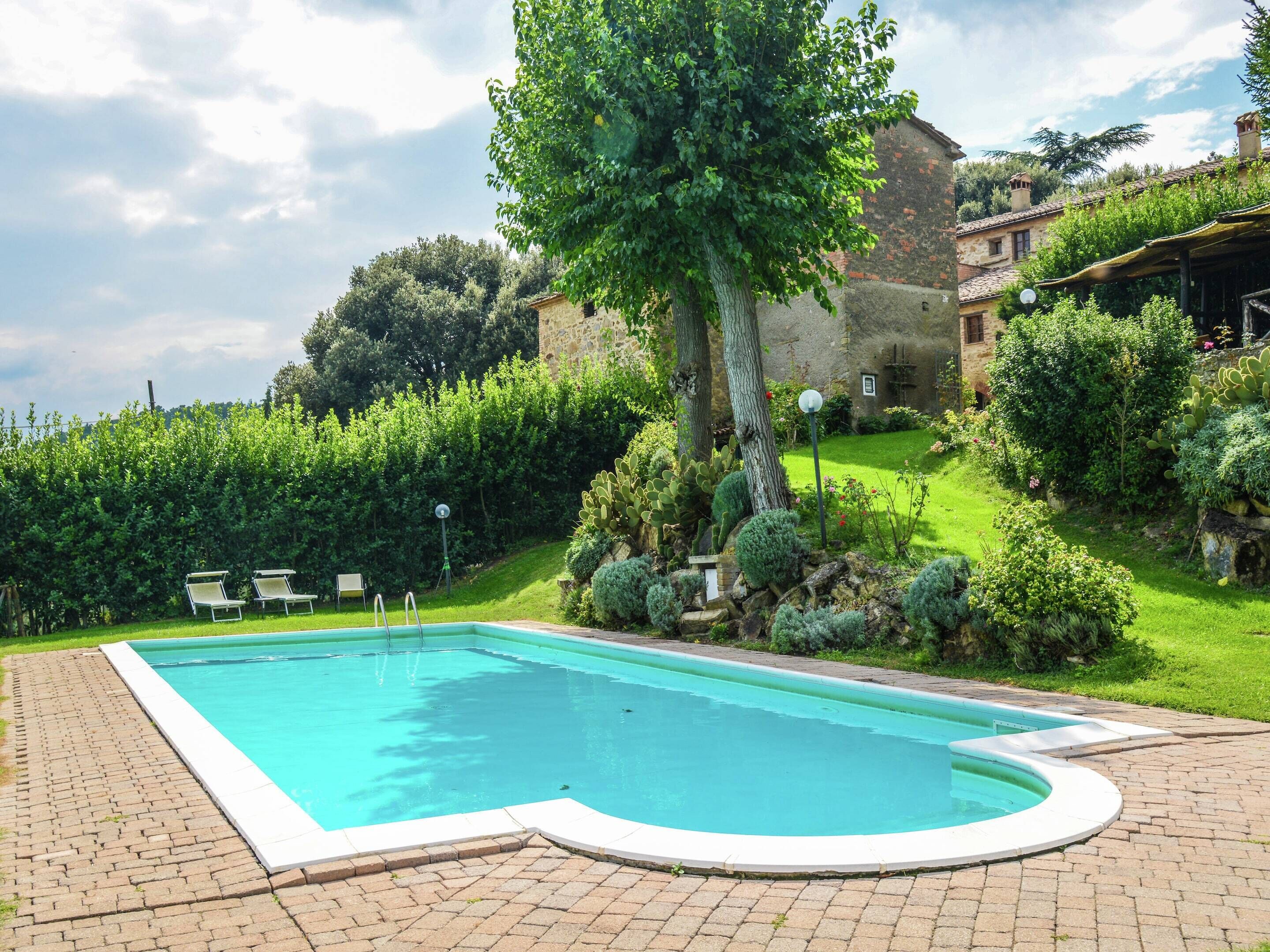 A rectangular swimming pool with a white border, surrounded by a brick patio. There are lounge chairs and a well-maintained garden with various plants and a large tree.