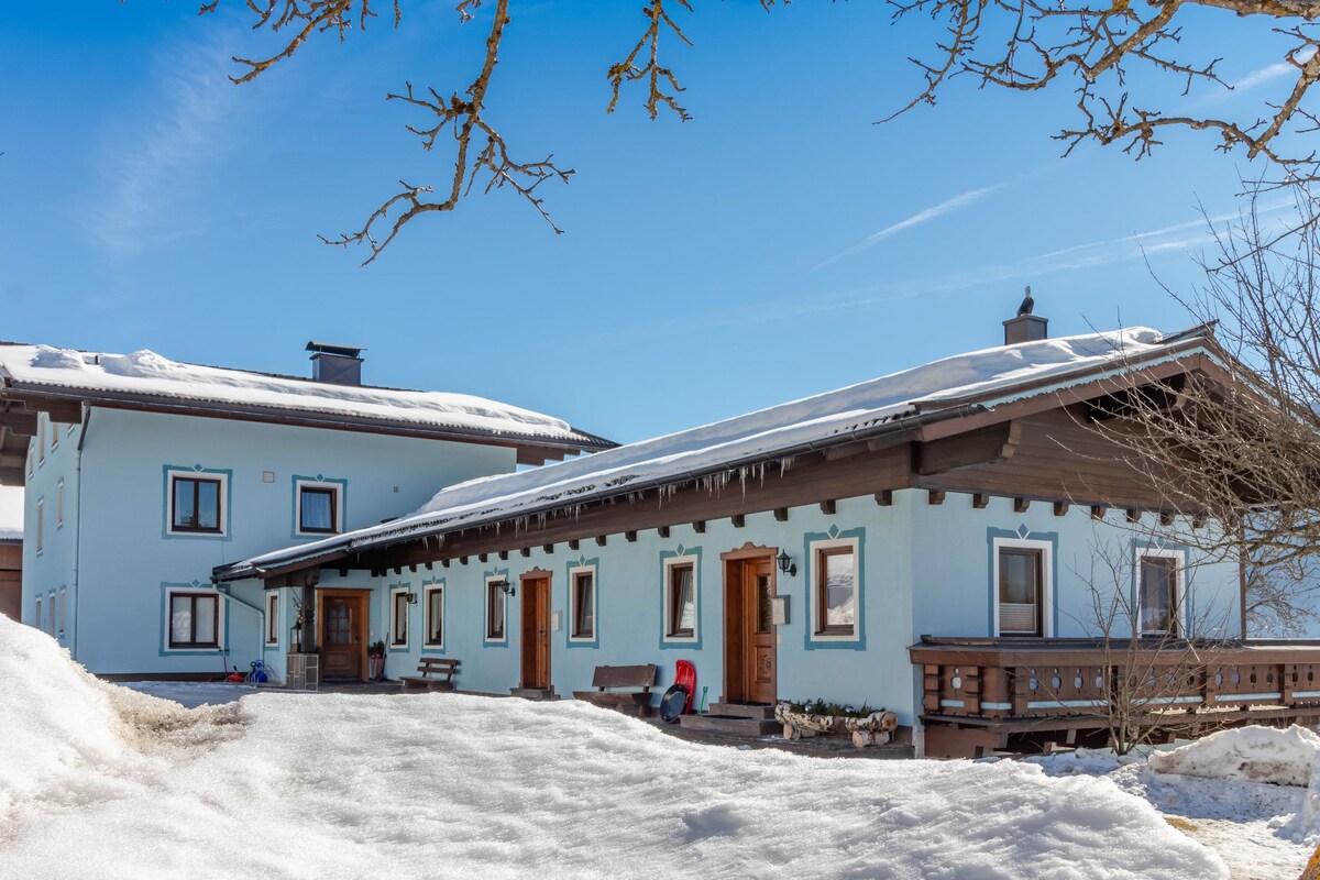 A traditional chalet with a snow-covered roof, wooden exterior, and a small porch area.