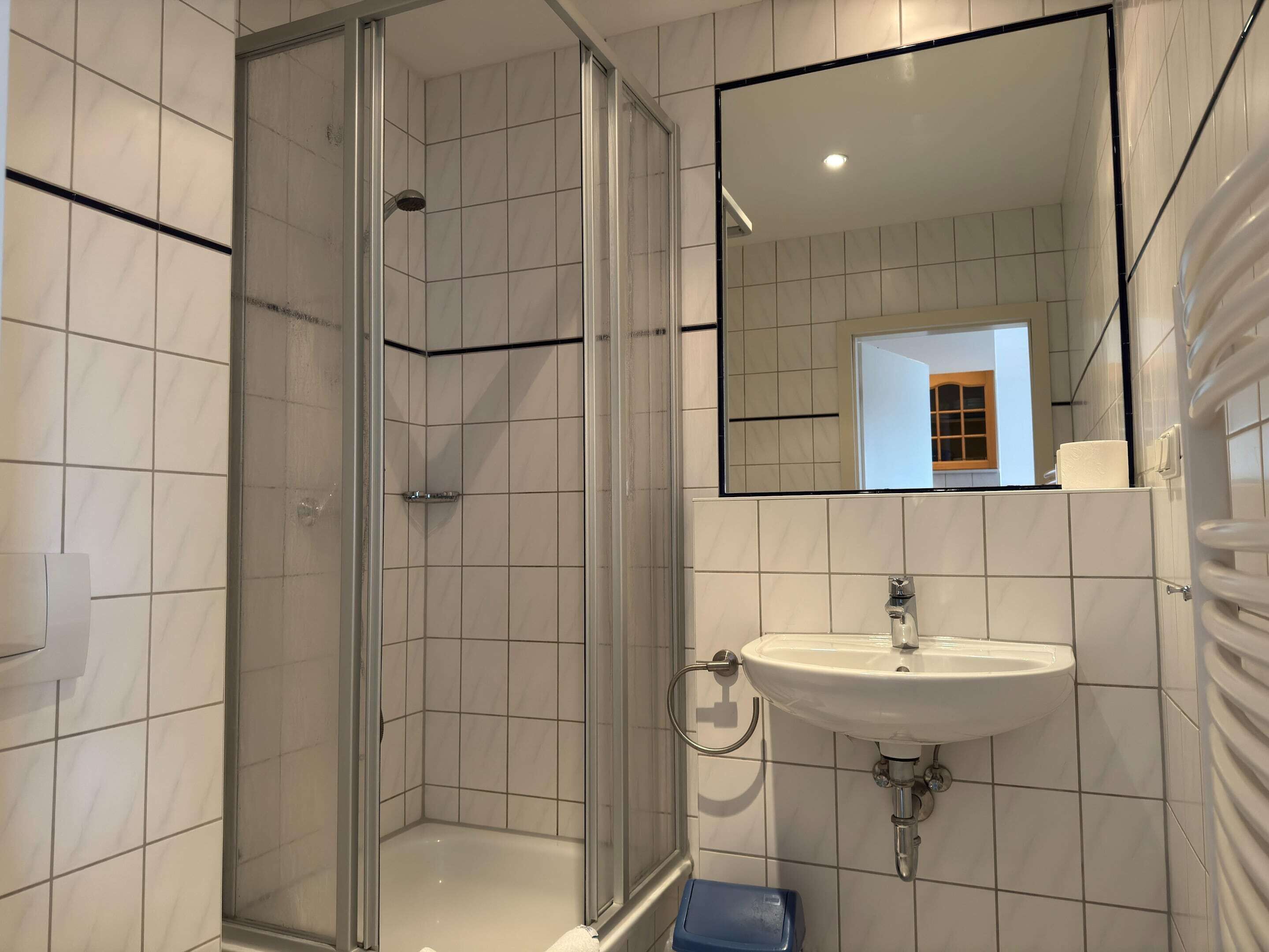 A modern bathroom with a glass-enclosed shower, a white sink, and a mirror above it.