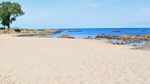 Ein Sandstrand mit einem Picknicktisch und einem Baum.