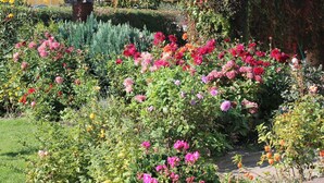 Garden - Charming Apartment in Kuhlungsborn With Parking (Kuehlungsborn)