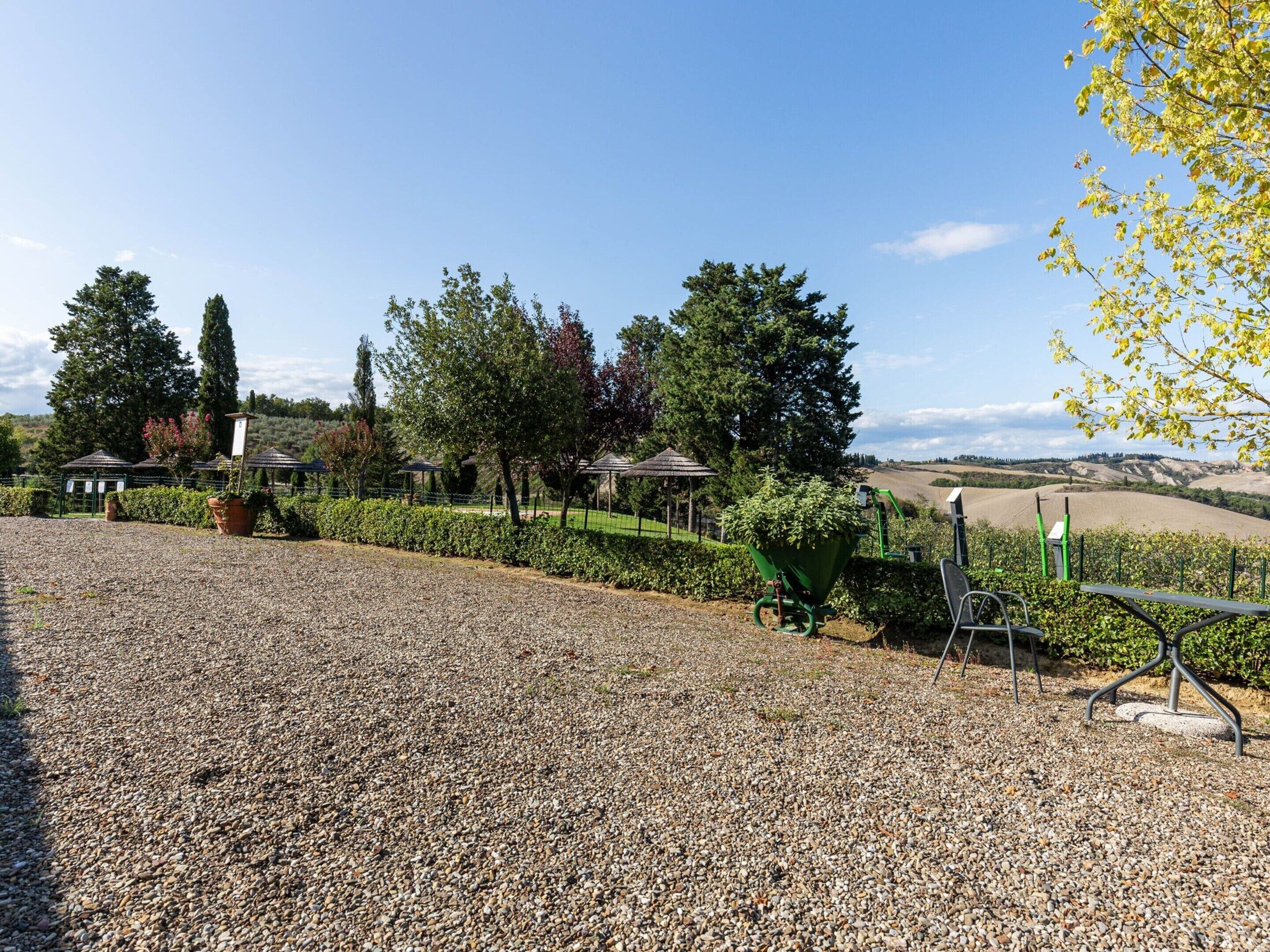 A gravel area with a green wheelbarrow, a gazebo, and a row of trees.