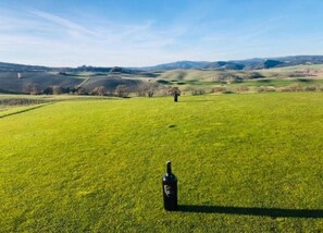 View from property - 360 Degree View Over the Tuscan Hills (Buonconvento)