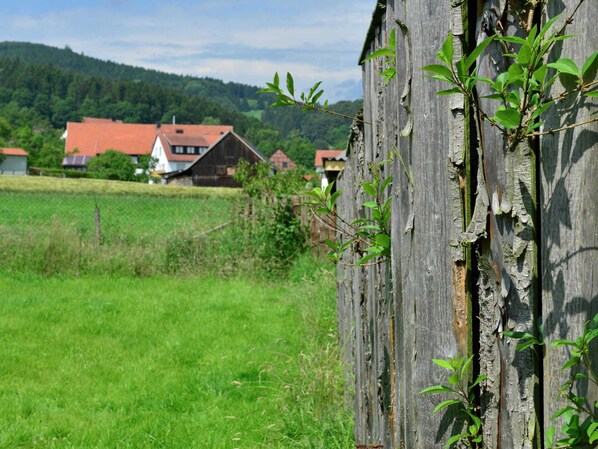 Classic House, Multiple Bedrooms | Interior detail - Apartment in the Hochsauerland Region in a Quiet Location (Diemelsee)