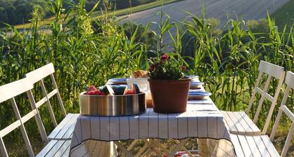 Amazing Apartment in Belvedere Ostrense With Garden