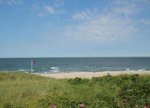 View from property - Chic Holiday Home in Callantsoog Forest Nearby (Callantsoog)