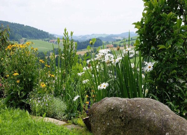 Vue depuis l’hébergement