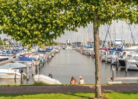 Vista desde la propiedad