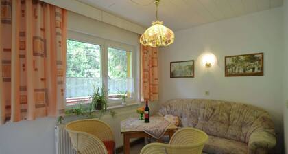 Luxurious Apartment in Heubach Germany in the Forest