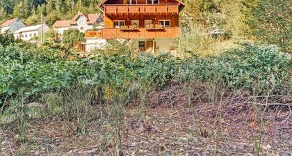 Luxurious Apartment in Heubach Germany in the Forest