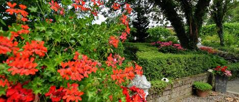 Classic House, 3 Bedrooms | Garden