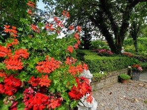 Classic House, 3 Bedrooms | Garden - Luxury House in South Limburg Near Forest (Walem)