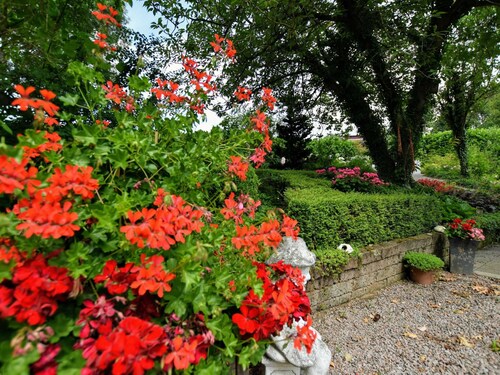 Luxury House in South Limburg Near Forest
