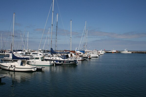 الإطلالة من المنشأة