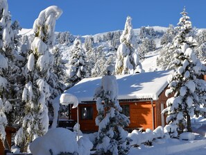 Classic House, 3 Bedrooms | Exterior - Sunlit Cabin With Jacuzzi in Turracherhohe (Stadl-Predlitz)
