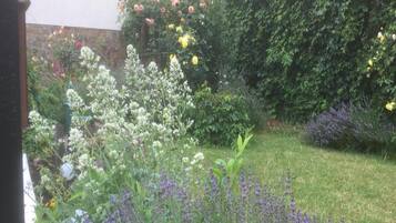 Classic House, 1 Bedroom | View from property