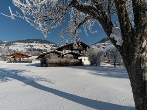 Exterior - Heritage Chalet in Niedernsill Near Ski Area (Niedernsill)