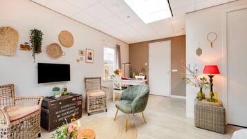 Căn hộ phong cách cổ điển, 1 phòng ngủ | Phòng khách | Đầu đĩa DVD