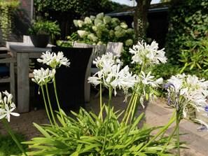 Klassiek appartement, 1 slaapkamer | Tuin