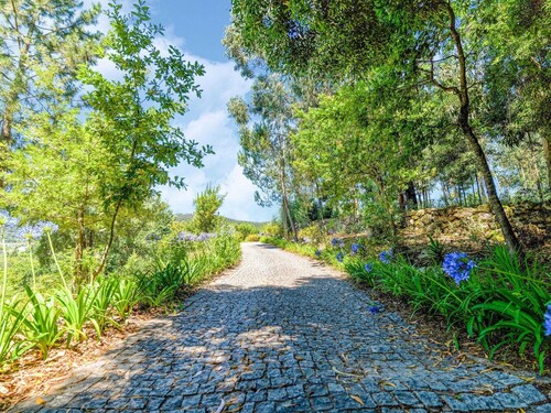 Upscale Villa in Penafiel With Swimming Pool and Terrace