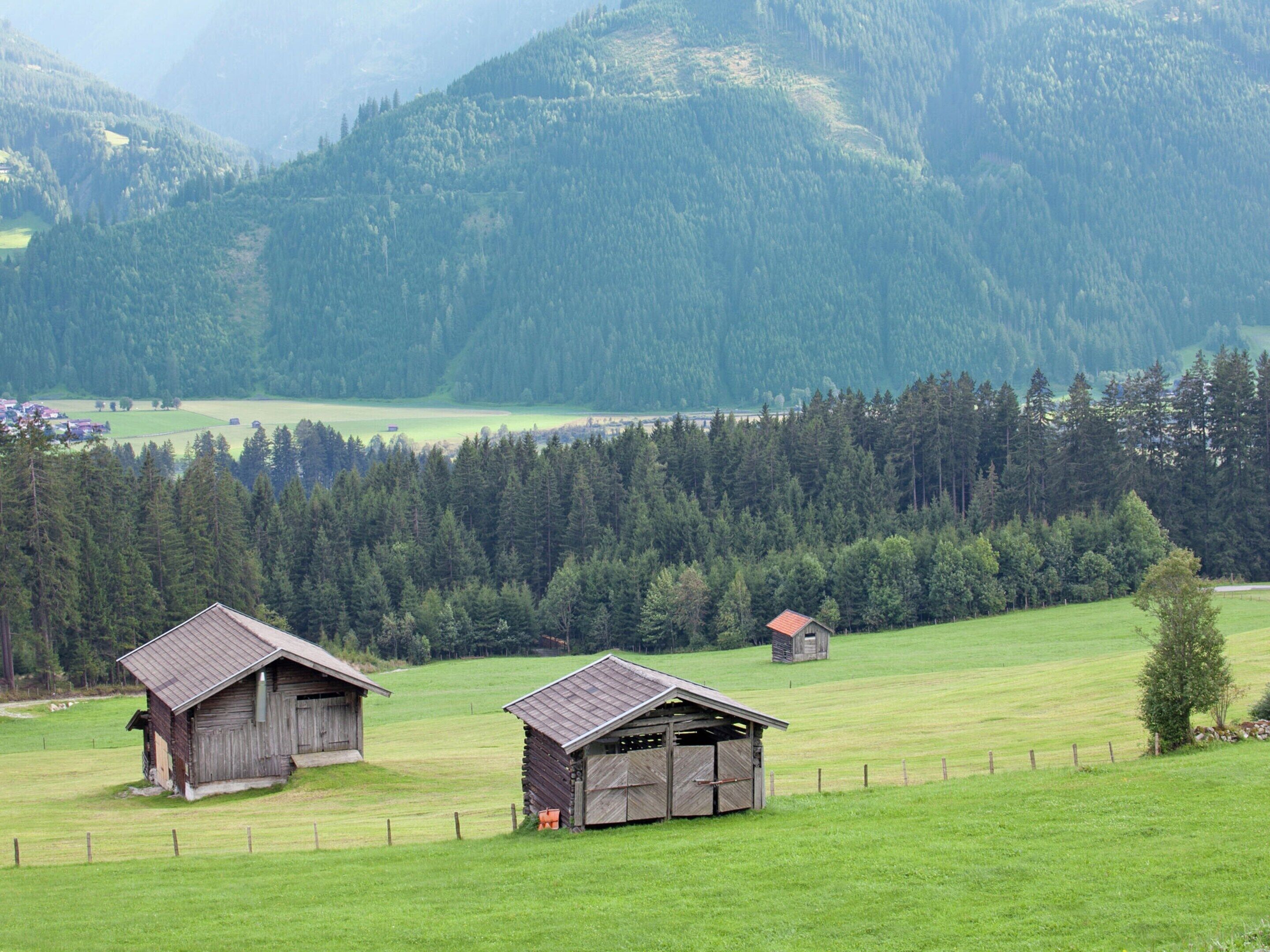 Un paysage rural avec deux granges en bois et un champ clôturé.