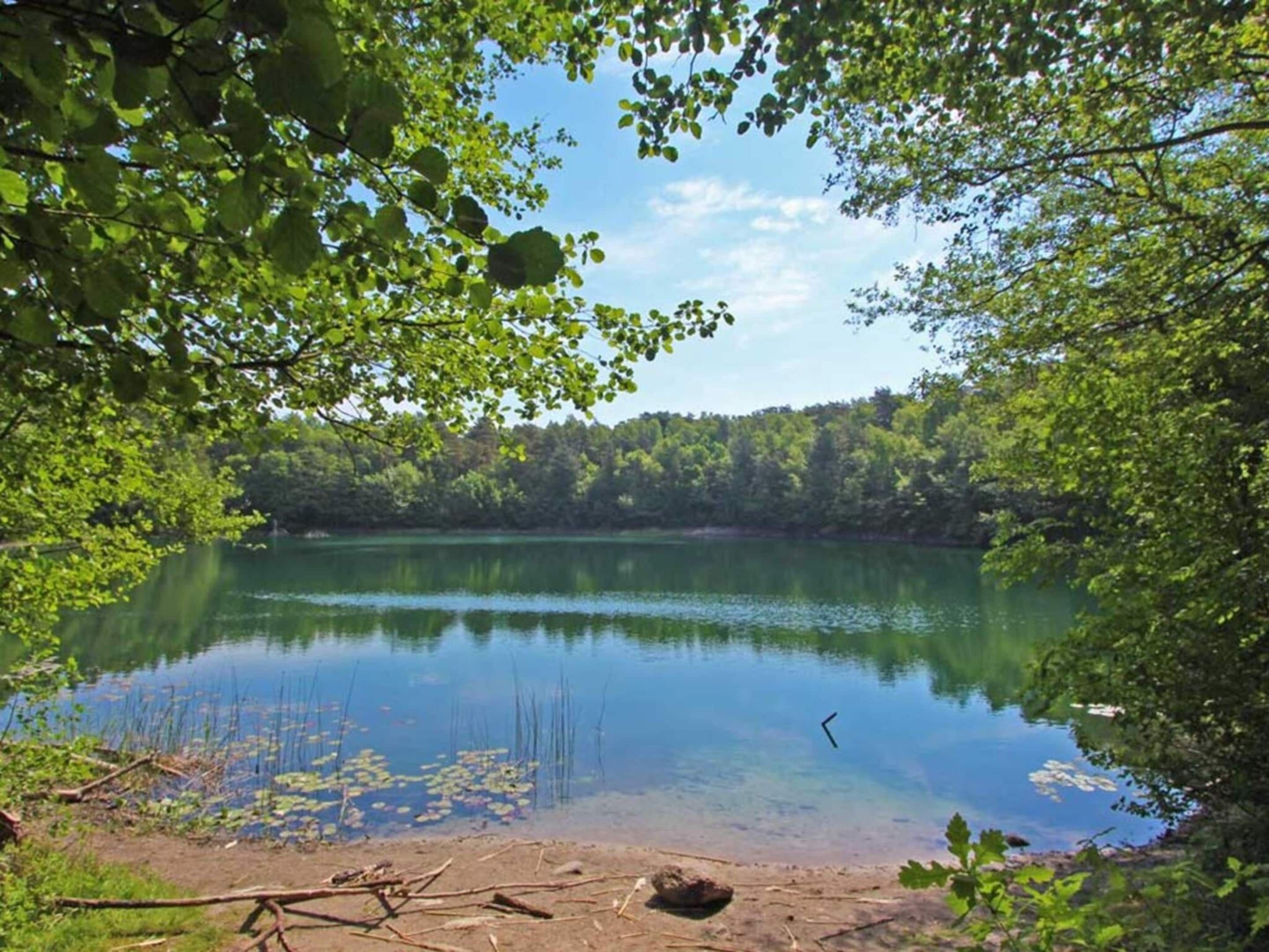 Un lago sereno rodeado de árboles frondosos, aguas tranquilas y un cielo despejado.
