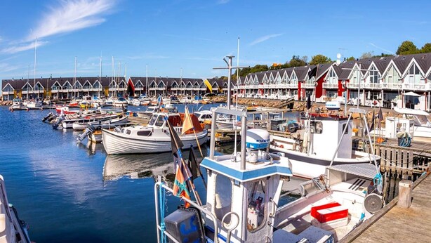 A marina with numerous boats docked, a row of houses with gabled roofs, and a clear blue sky. - 6 Person Holiday Home in Hasle (Hasle)