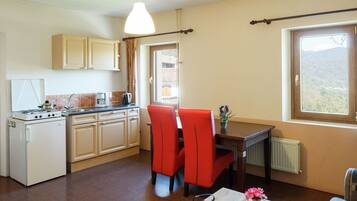 Apartemen Klasik, 1 kamar tidur | Dapur pribadi | Lemari es dan oven