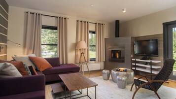 Télévision, cheminée, lecteur de DVD