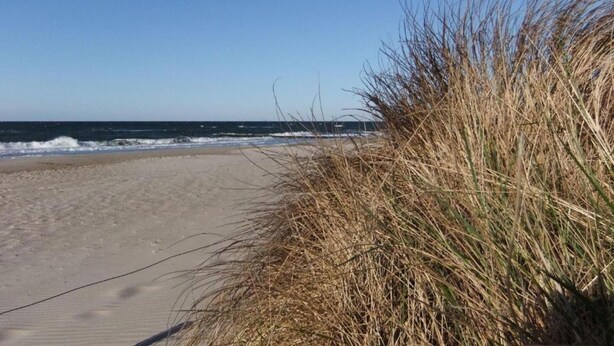 A sandy beach with waves and dry grass in the foreground. - Idyllic Holiday Home in Damshagen With Terrace (Damshagen)