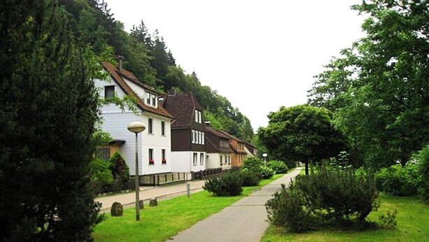 Une rue résidentielle bordée de maisons, avec un trottoir et de la verdure.