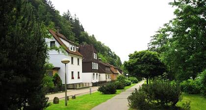 Spacious Group House in the Harz Region
