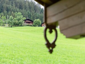 Interior detail - Stunning Apartment Near Forest in Mittersill (Mittersill)
