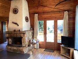 Chimenea, reproductor de DVD