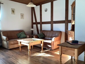 Classic House, 4 Bedrooms | Living room | Fireplace, DVD player