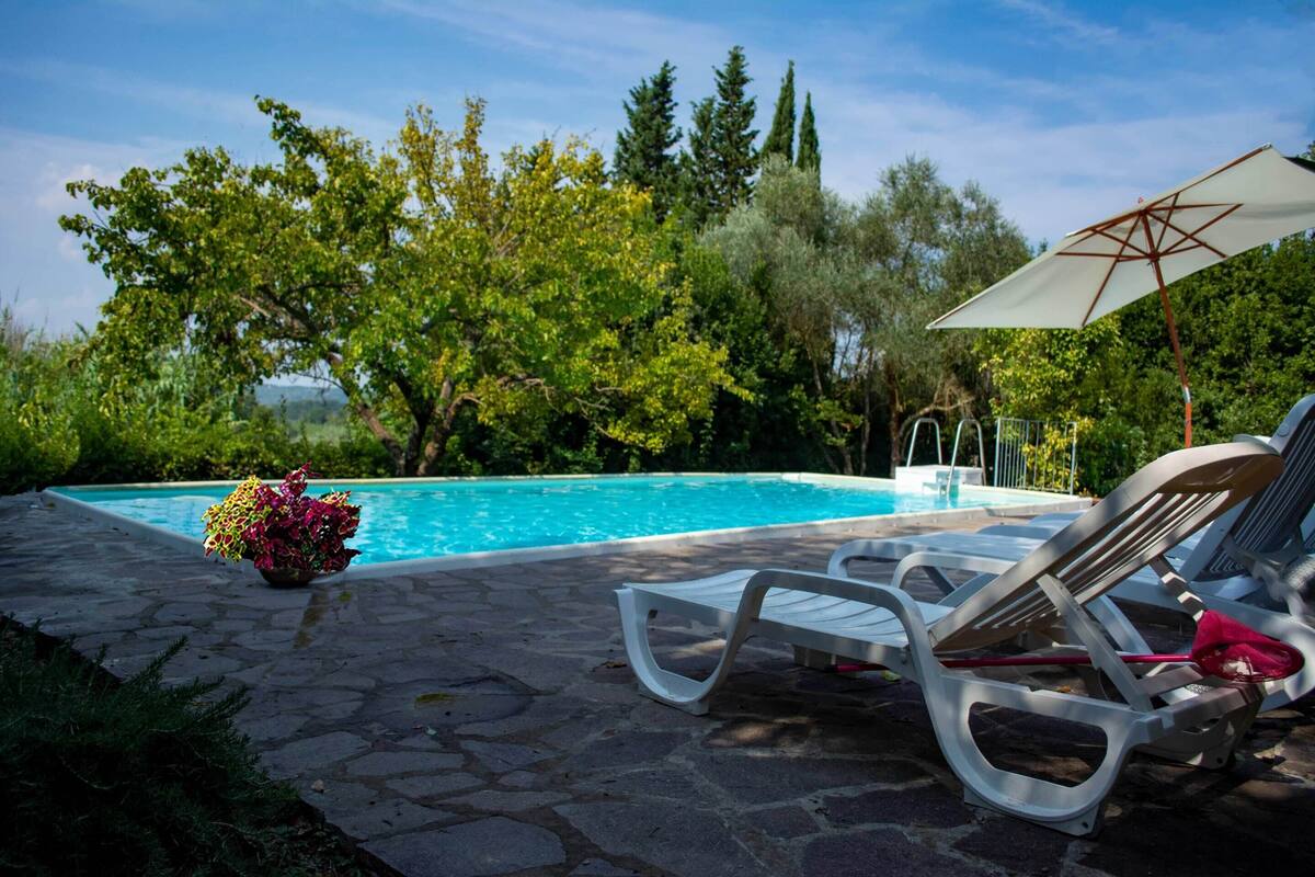 Una piscina con sillas de descanso y una sombrilla, rodeada de vegetación.
