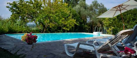 Una piscina con sillas de descanso y una sombrilla, rodeada de vegetación.