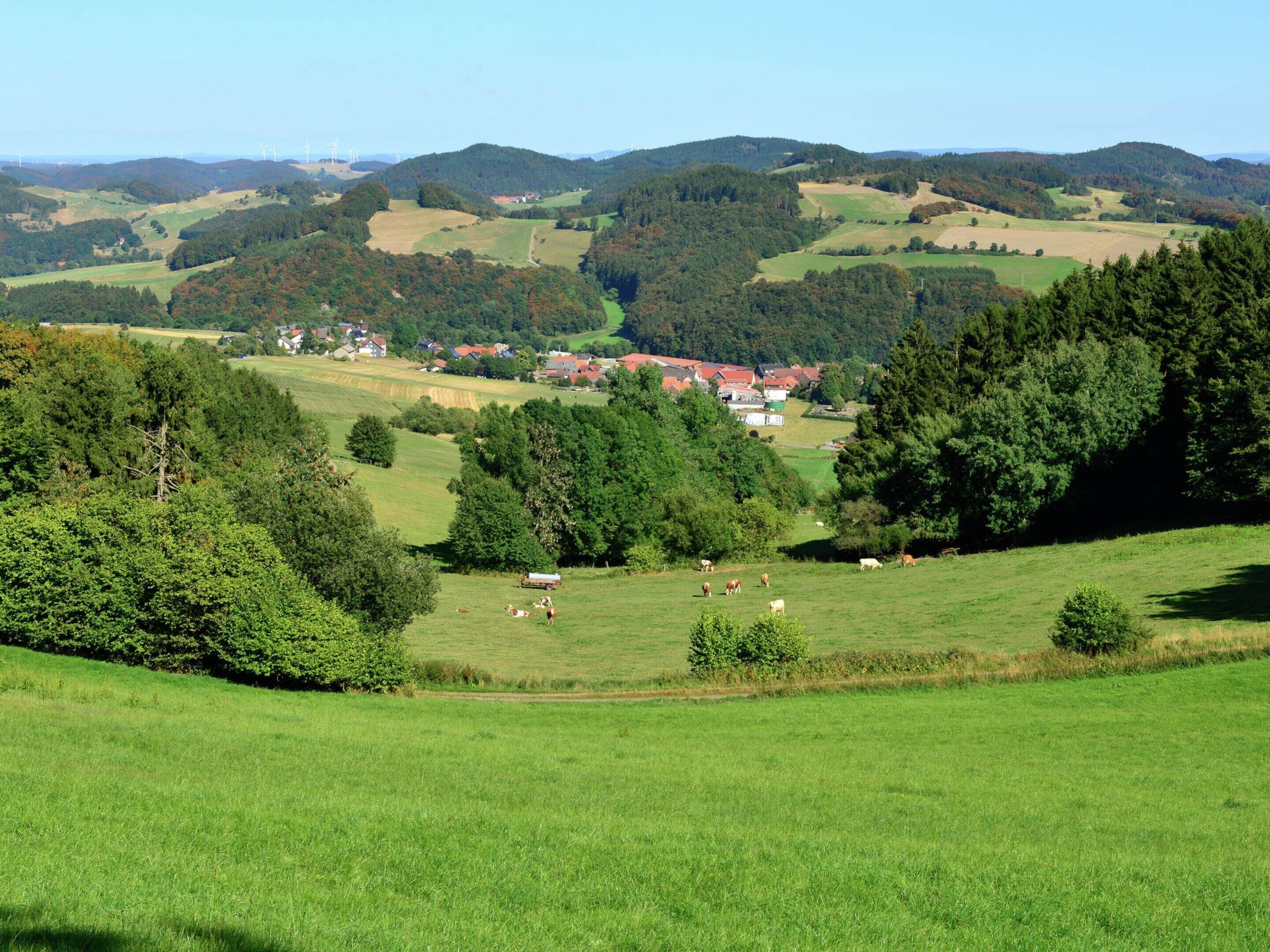 Un paysage rural caractérisé par des collines douces, un petit village et des éoliennes visibles au loin.