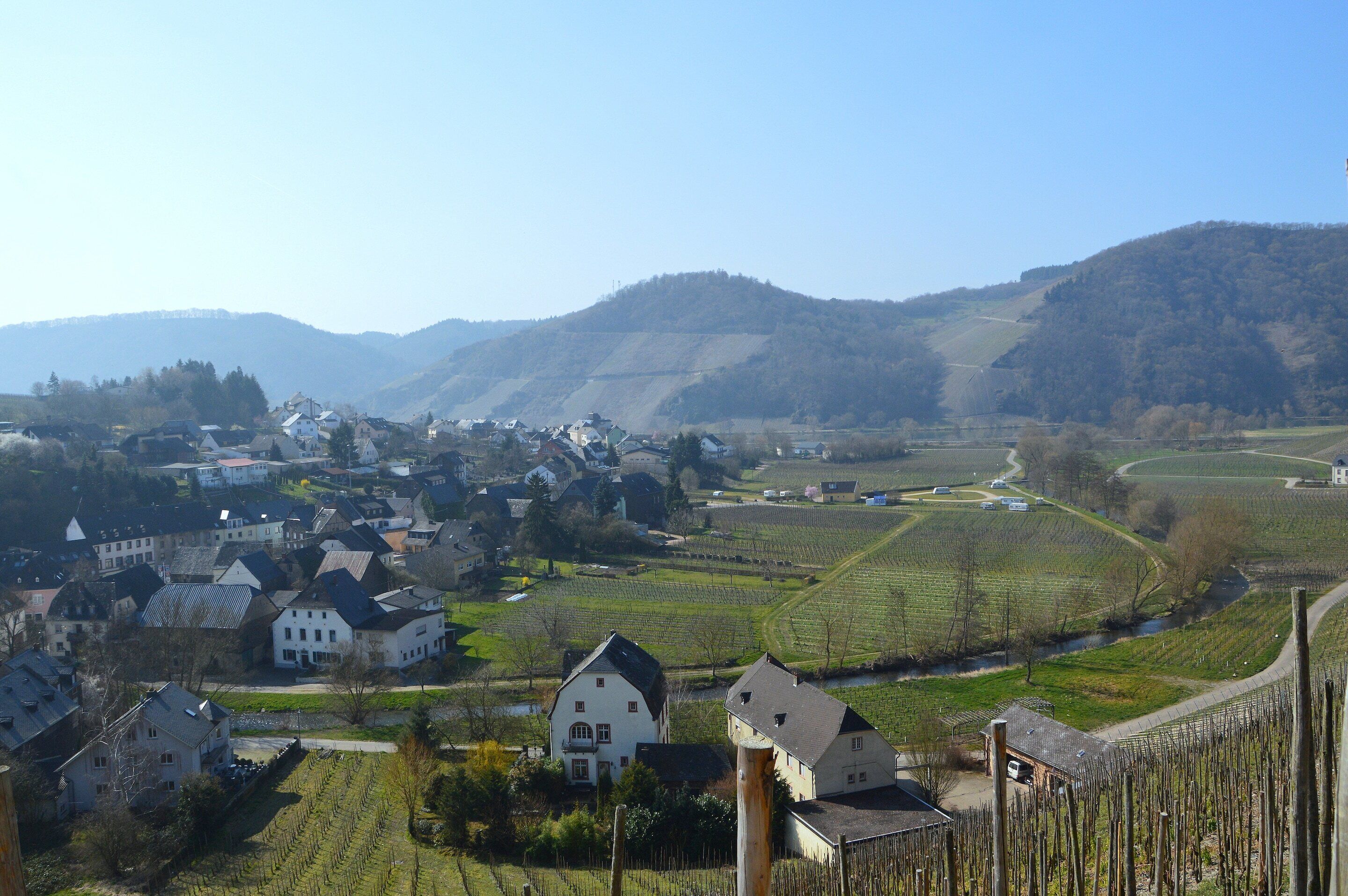 A rural village with traditional houses, vineyards, and a river.