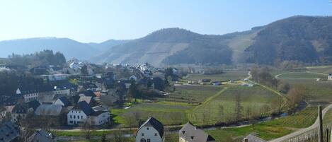 A rural village with traditional houses, vineyards, and a river.