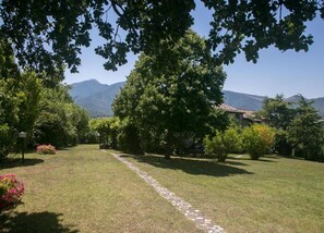 Vista desde la propiedad
