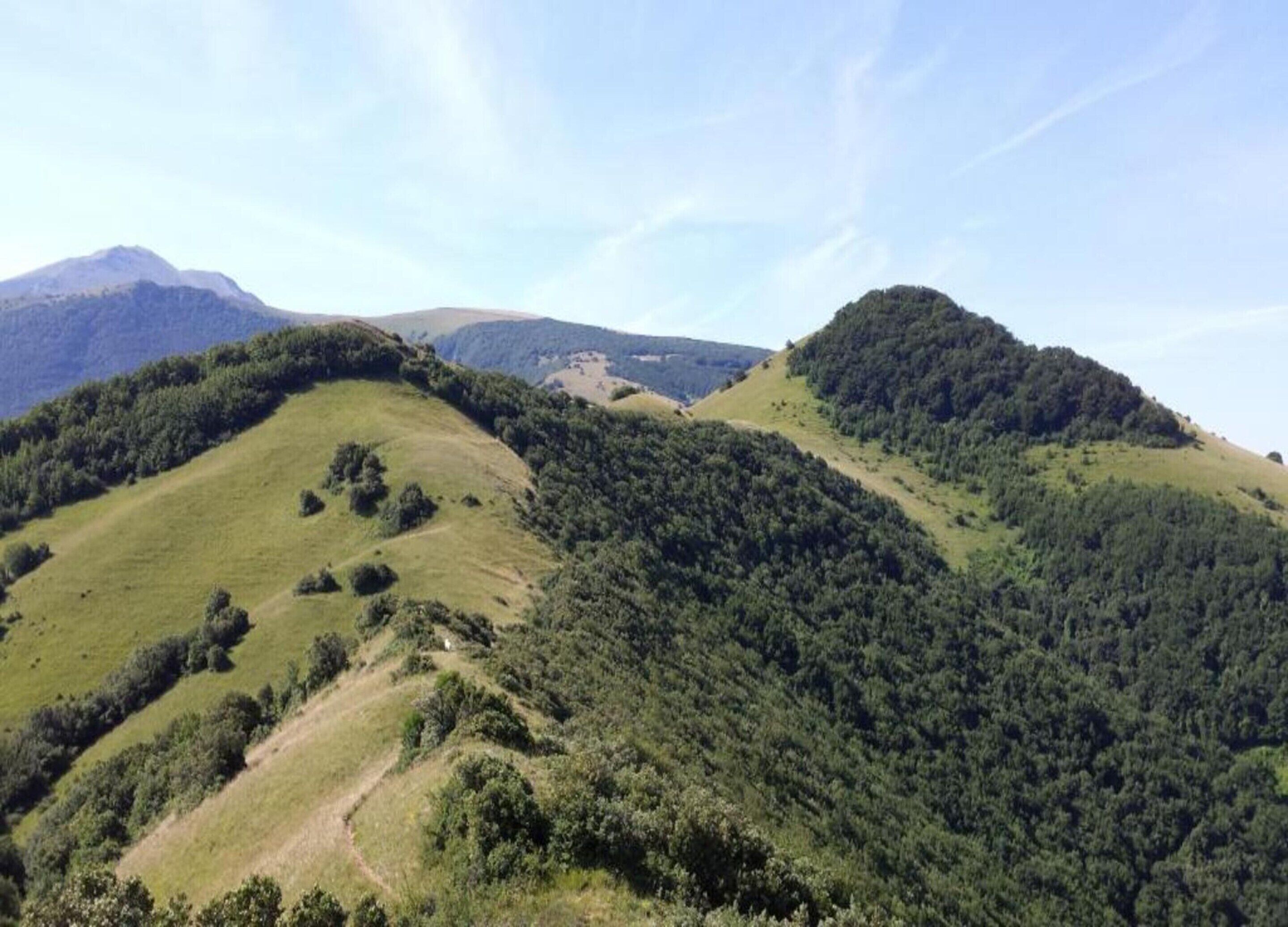 Un paysage montagneux caractérisé par des collines douces et des forêts denses.