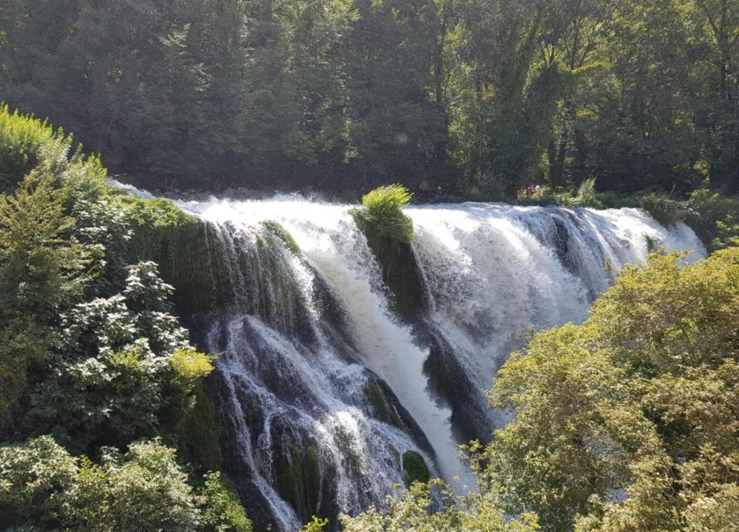 A waterfall surrounded by dense forest.