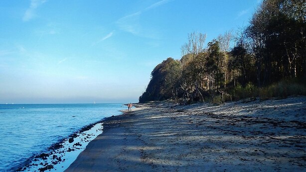 Una platja amb cel sereno, mar tranquil·la i un penya-segada forestal.