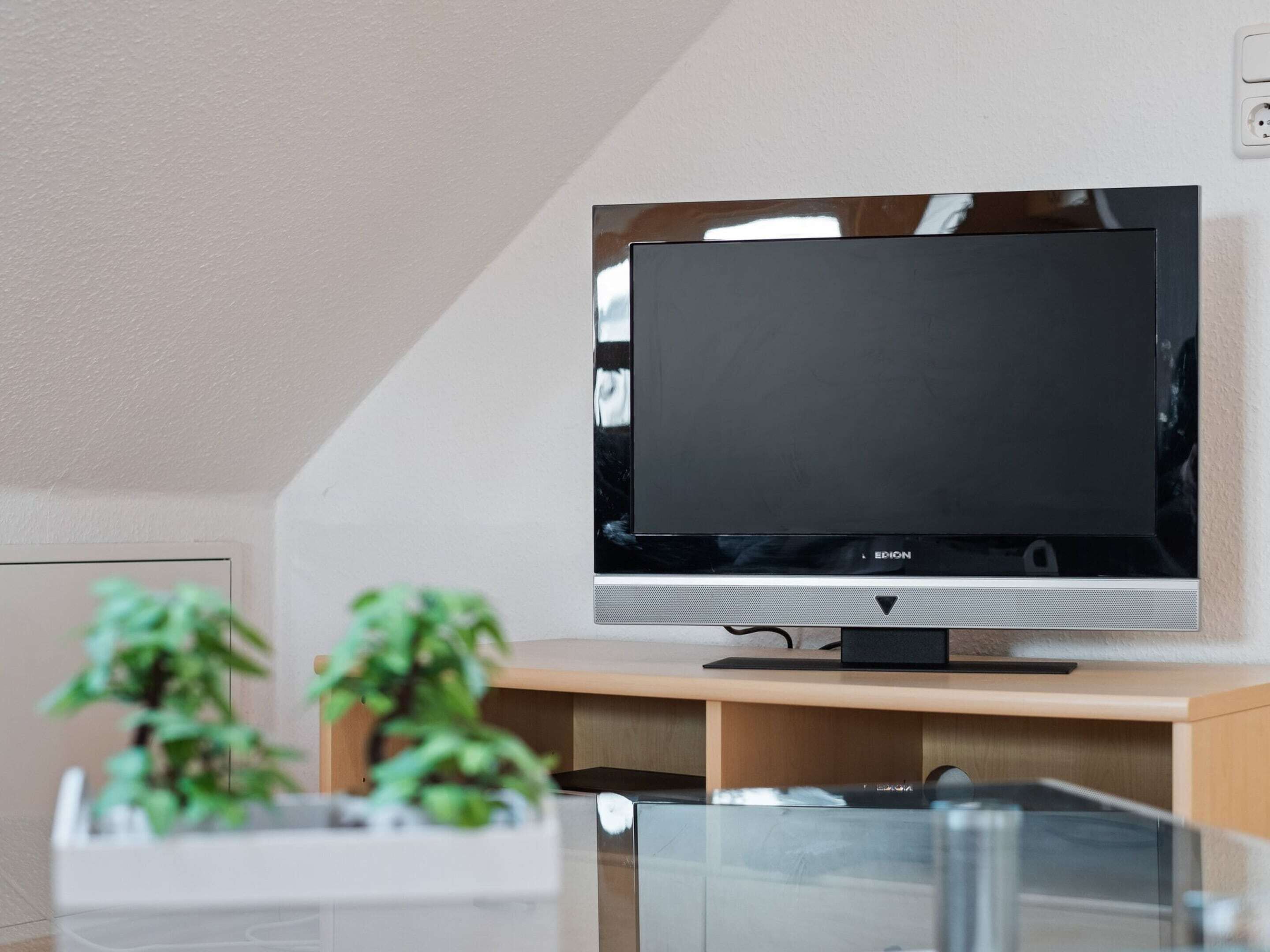 Una sala de estar moderna con un televisor de pantalla plana sobre un mueble de madera, una mesa de centro de vidrio y dos plantas en macetas.