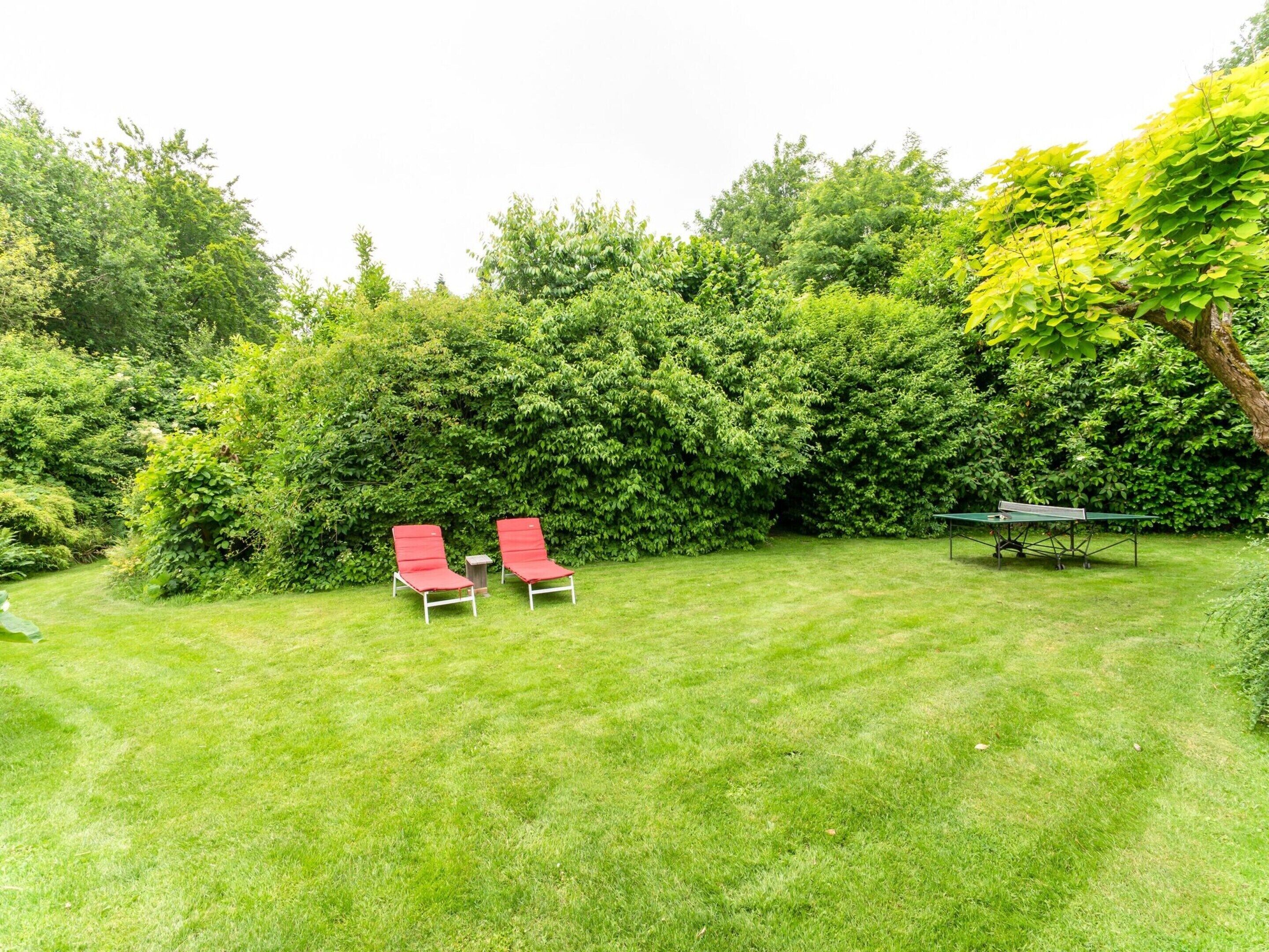 A backyard with two red lounge chairs, a ping pong table, and dense green foliage.