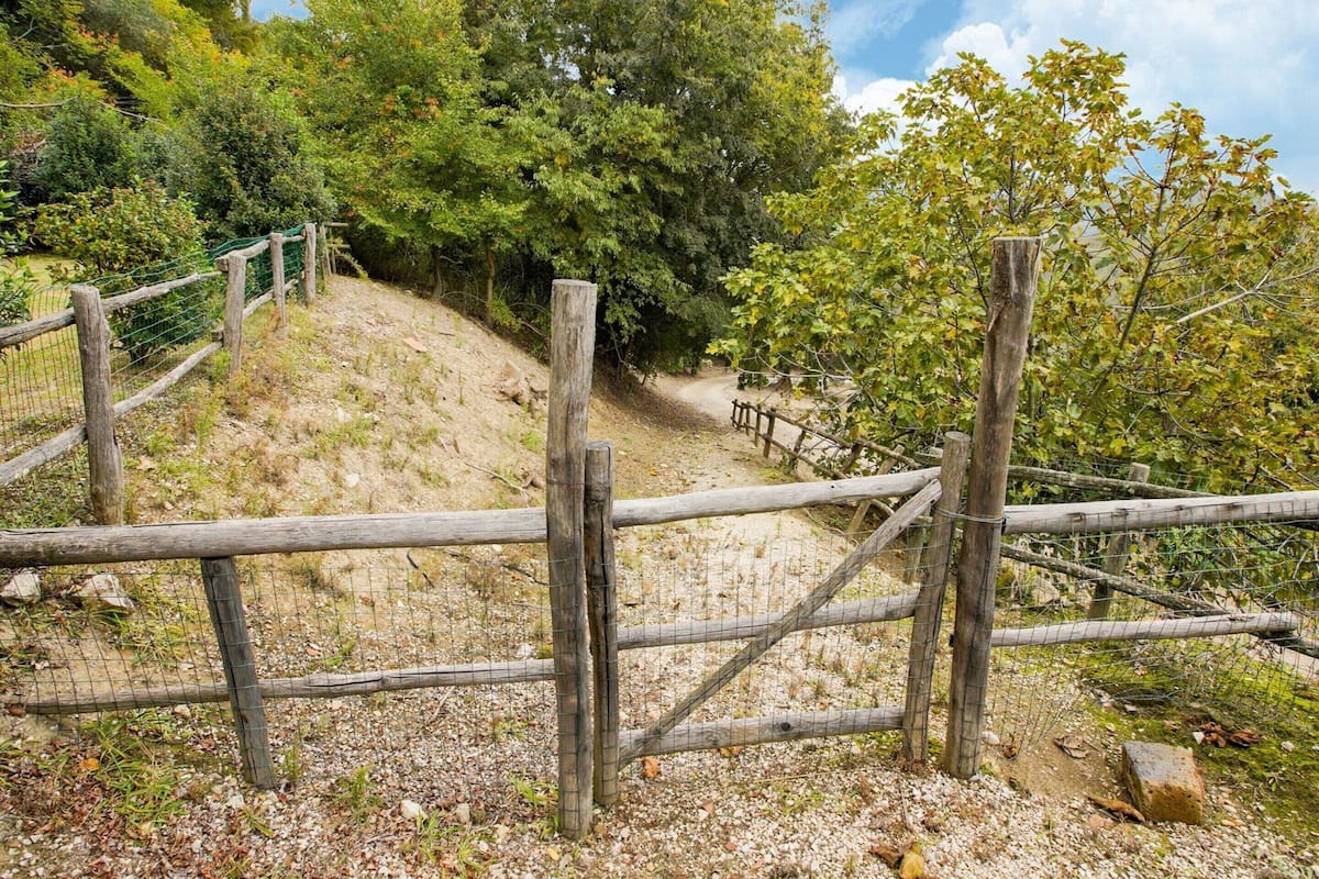 A wooden fence with a gate, surrounded by gravel and greenery.